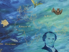 COMMERSON (1727-1773)